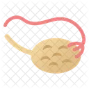 Ovulation System  Icon