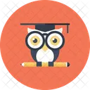 Owl Night Study Icon