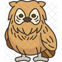 Owl Bird Wildlife Icon