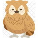 Owl Bird Wildlife Icon