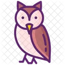 Owl Ecology Nature Icon