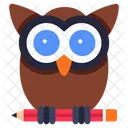 Owl Wisdom Animal Icon