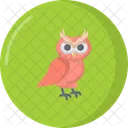 Owl Icon