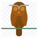 Owl Bird Animals Icon