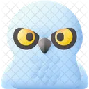 Owl Bird Animal Icon