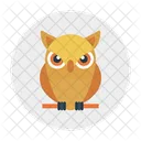 Owl Education Animal Icon