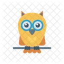 Owl Professor Education Icon