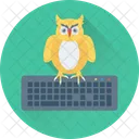 Owl Study Keyboard Icon