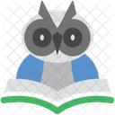 Wisdom Graduate Owl Icon