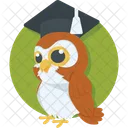 Owl Study Graduation Icon