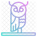 Owl  Icône