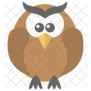 Owl Wisdom Bird Icon