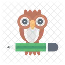 Owl School Pencil Icon