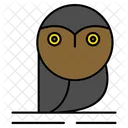 Owl Bird Scary Icon