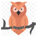 Owl  Icon