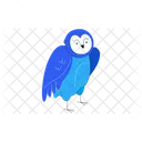 Owl  Icon