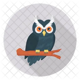 Owl  Icon