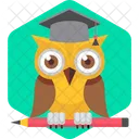 Owl Bird Animal Icon