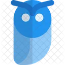 Owl  Icon