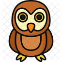 Owl Owlet Nocturnal Icon