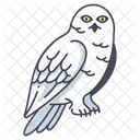 Owl Snowy Wildlife Icon