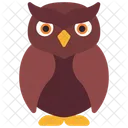 Owl Bird Animal Icon