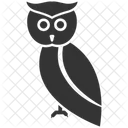 Owl  Icon