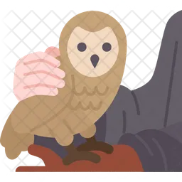 Owl  Icon