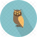 Owl Bird Icon
