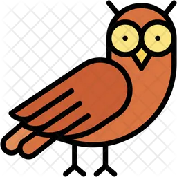 Owl  Icon