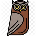 Owl Bird Eyes Icon