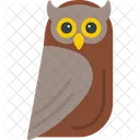 Owl Bird Eyes Icon