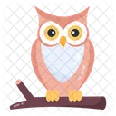 Night Bird Owl Strigiformes Icon