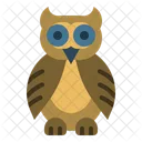 Owl Bird Animal Icon