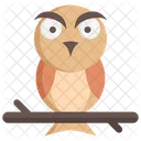 Owl Bird Animal アイコン