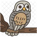 Owl Bird Witch Icon