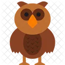 Owl Animal Woodlands Owl Icon