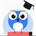 Smart Solution Owl Owl Bird Icon