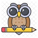 Owl Education School Icon