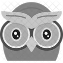 Owl Face Owl Night Icon