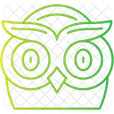 Owl Face  Icon