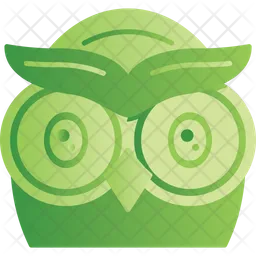 Owl Face  Icon