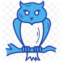 Owl Bird Animal Icon