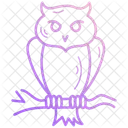 Owl Bird Animal Icon