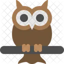 Owl Bird Animal Icon