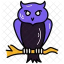 Owl Bird Animal Icon