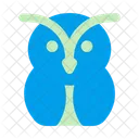 Owl Bird Animal Icon