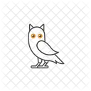 Owl  Icon