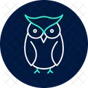 Owl Bird Night Icon