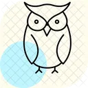 Owl Bird Night Icon